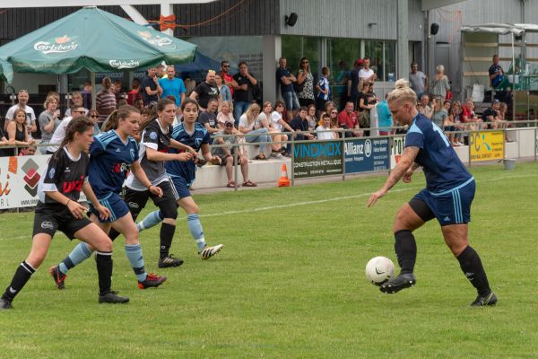 dsc-55363CDFFFB3-F08C-0339-8703-7887639F640F.jpg